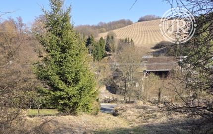 Zlatá investičná príležitosť v k. ú. Zlaté – dve parcely za výbornú cenu!