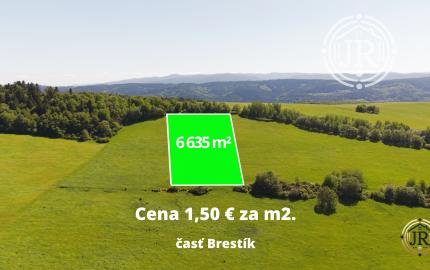 Zlatá investičná príležitosť v k. ú. Zlaté – dve parcely za výbornú cenu!