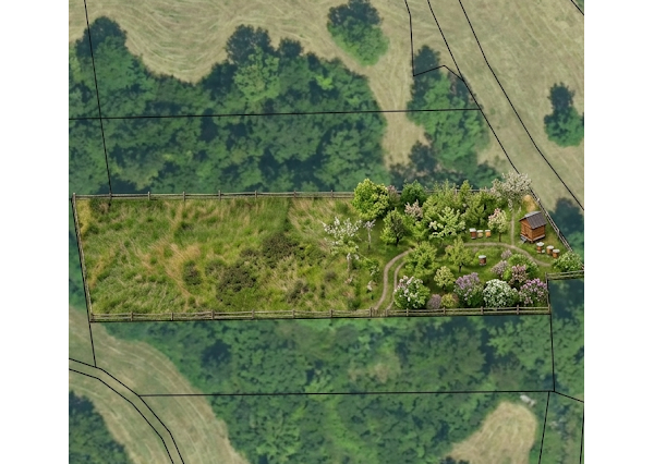 Zlatá investičná príležitosť v k. ú. Zlaté – dve parcely za výbornú cenu!