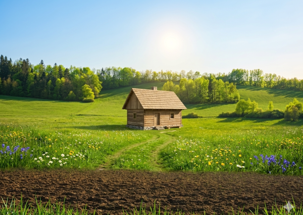 Zlatá investičná príležitosť v k. ú. Zlaté – dve parcely za výbornú cenu!