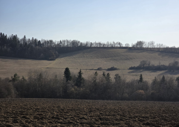 Zlatá investičná príležitosť v k. ú. Zlaté – dve parcely za výbornú cenu!