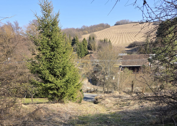 Zlatá investičná príležitosť v k. ú. Zlaté – dve parcely za výbornú cenu!